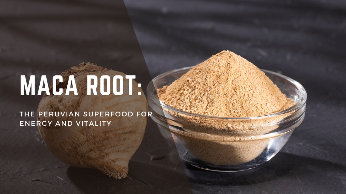 Maca Root: The Peruvian Superfood for Energy and Vitality