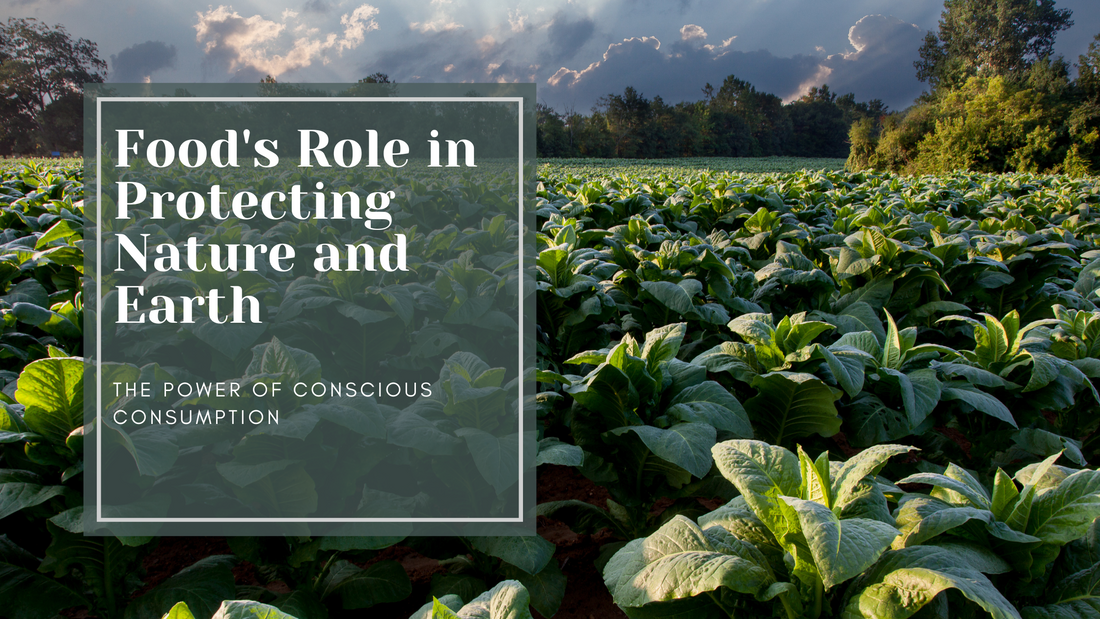 Food's Role in Protecting Nature and Earth: The Power of Conscious Consumption