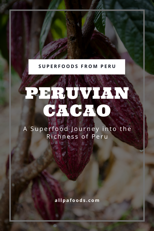 Peruvian Cacao: A Superfood Journey into the Richness of Peru