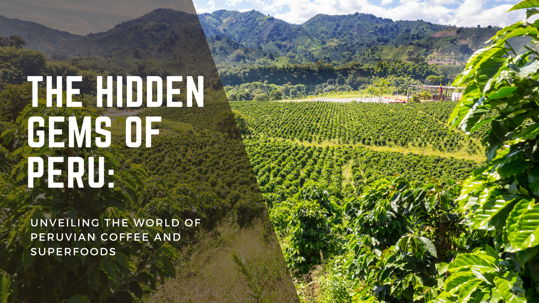 Peruvian coffee sustainability