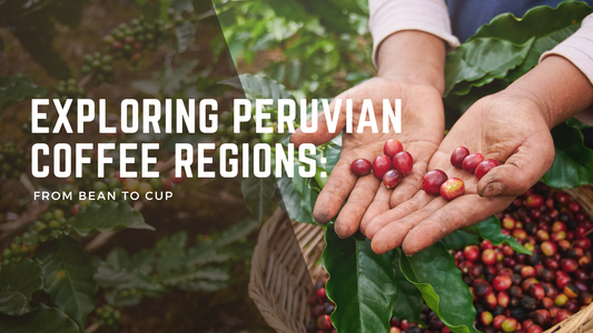 Exploring Peruvian Coffee Regions: From Bean to Cup